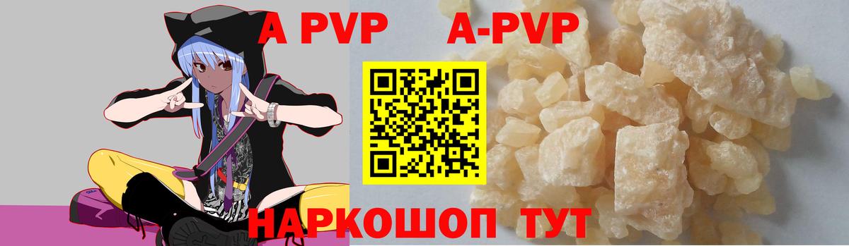Альфа ПВП СК Туапсе