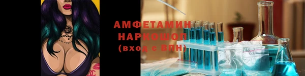 стафф Карпинск