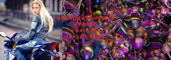 стафф Карпинск