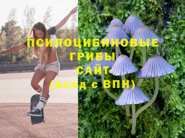 стафф Карпинск
