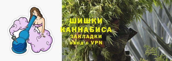 стафф Карпинск