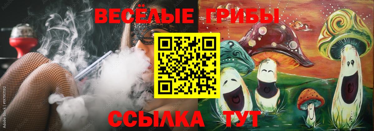 Псилоцибиновые грибы прущие грибы  Вход с VPN  Туапсе 